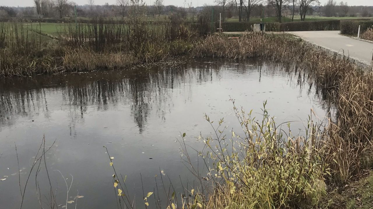 Berliner GC Stolper Heide