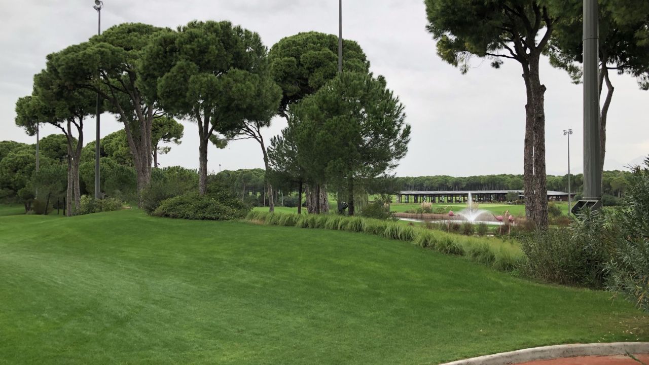 The Montgomery Maxx Royal