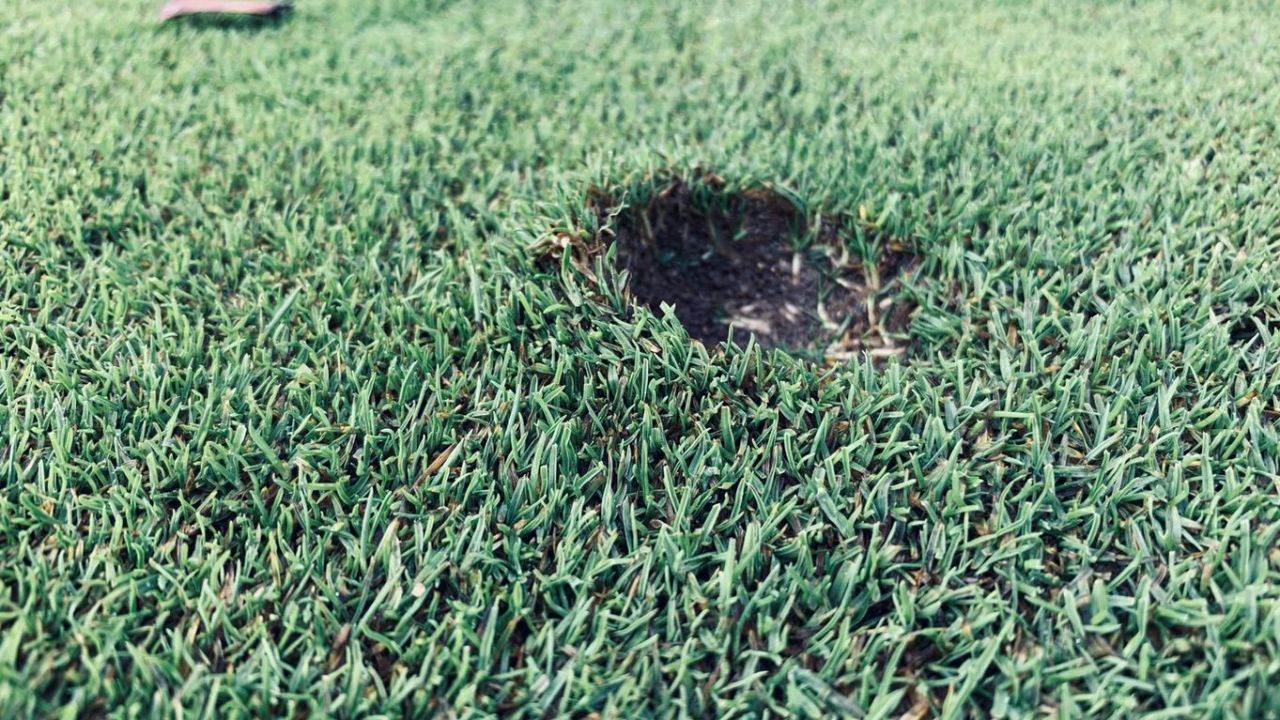 Golf Range Frankfurt