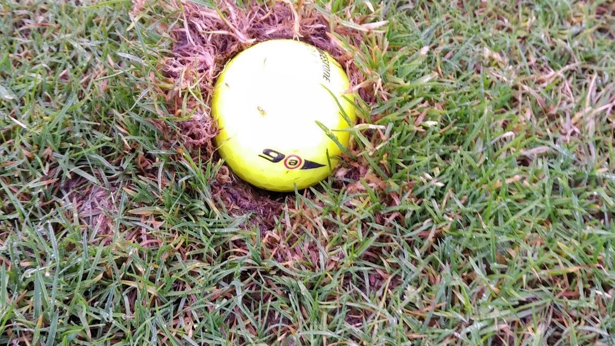 Golf Club Bad Saarow