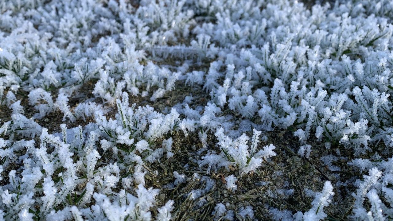 Golfclub Hamburg Gut Waldhof