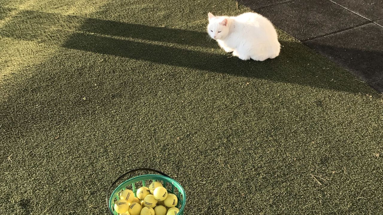 Berliner GC Stolper Heide