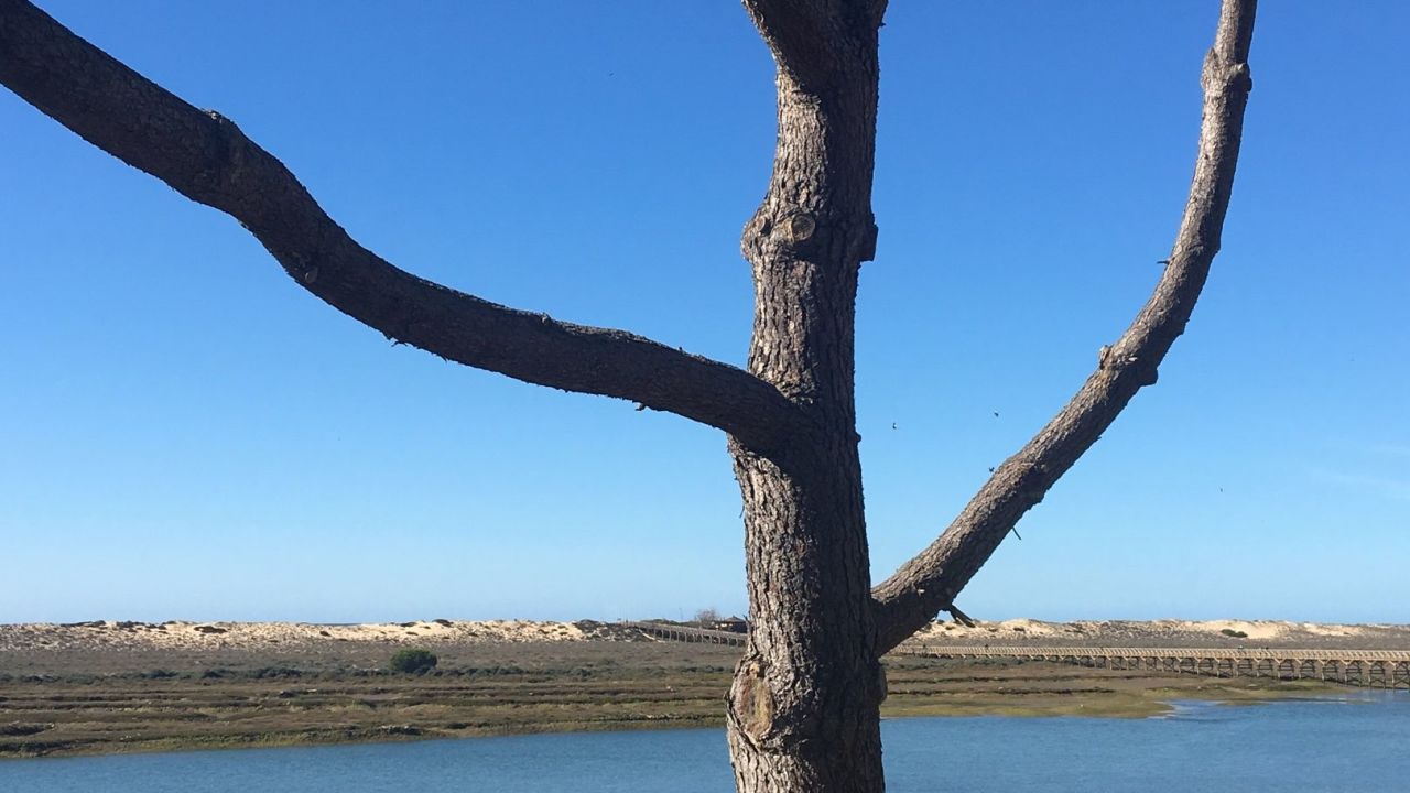 San Lorenzo Golf Course & Le Meridien Dona Filipa