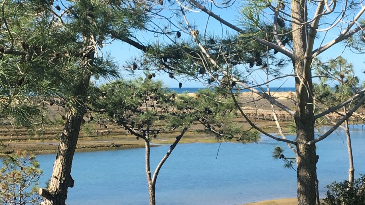 San Lorenzo Golf Course & Le Meridien Dona Filipa