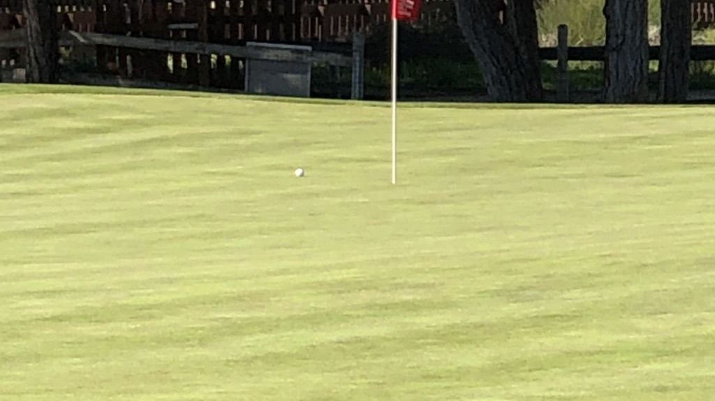 Pine Cliffs Golf & Country Club