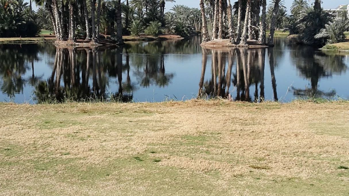 PalmGolf Club Marrakech