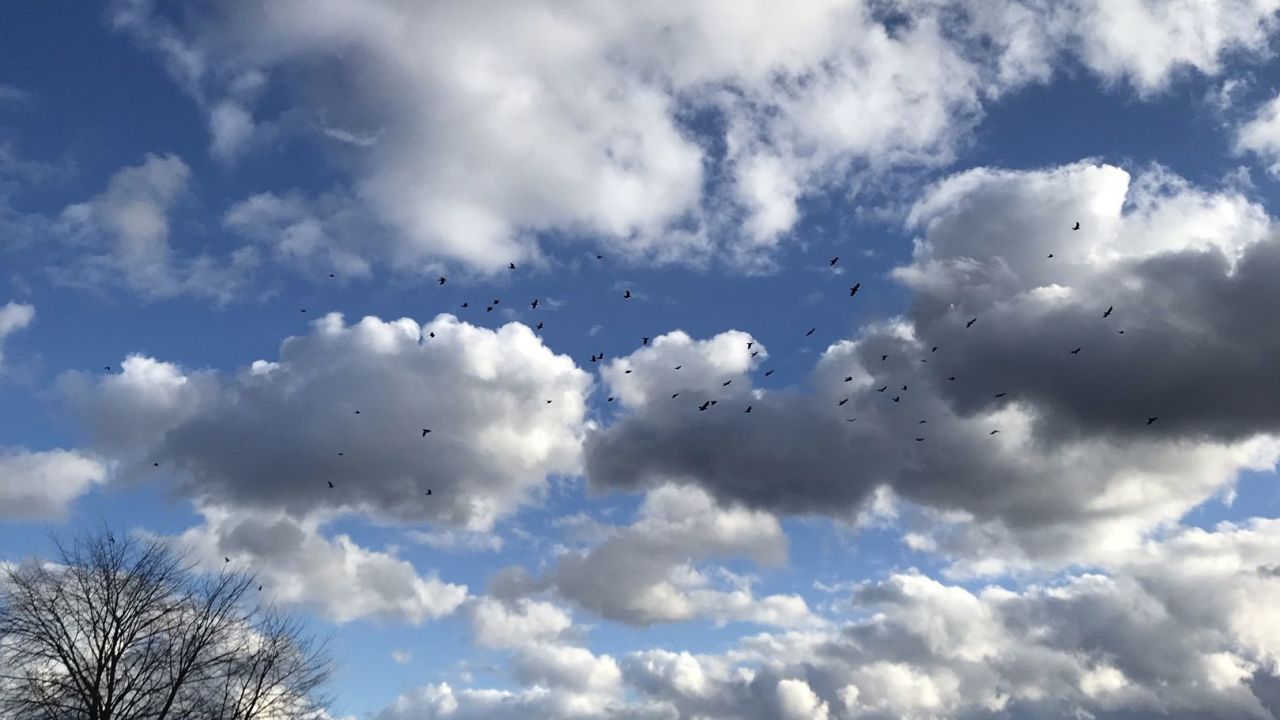 Berliner GC Stolper Heide