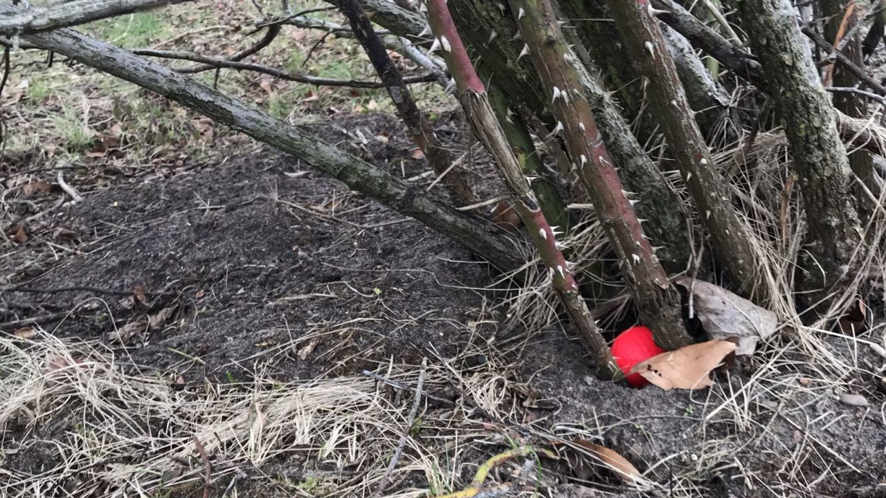 Berliner GC Stolper Heide