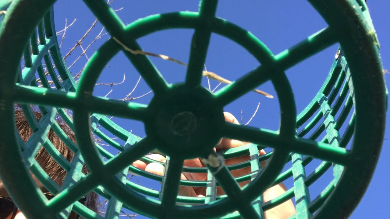 Berliner GC Stolper Heide