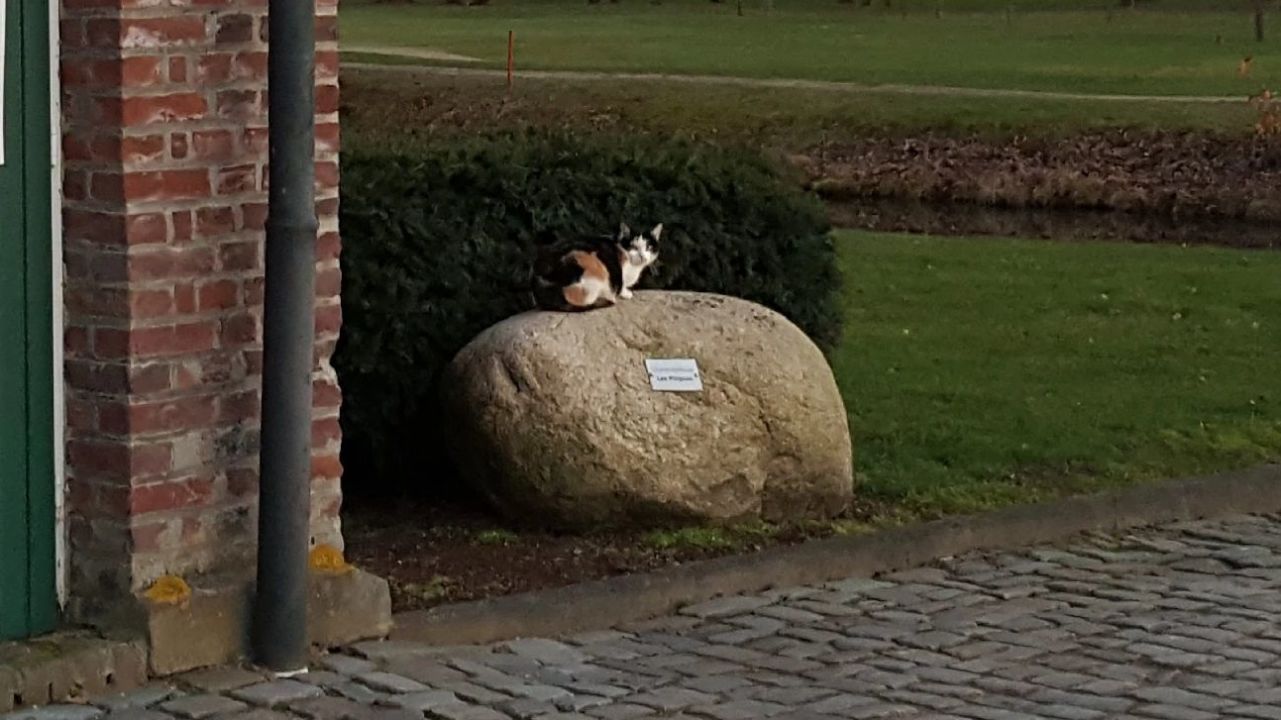 GC Schloss Myllendonk