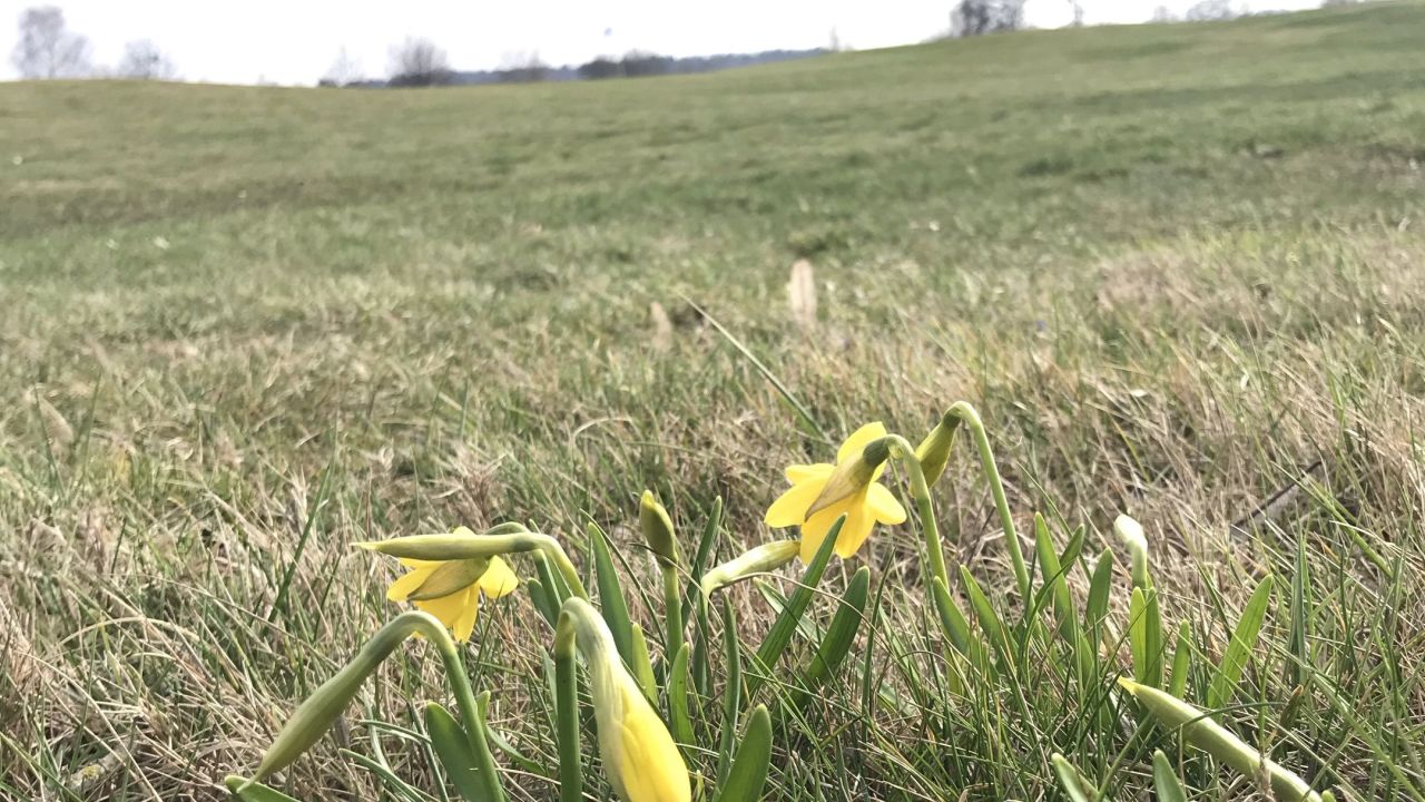 Berliner GC Stolper Heide