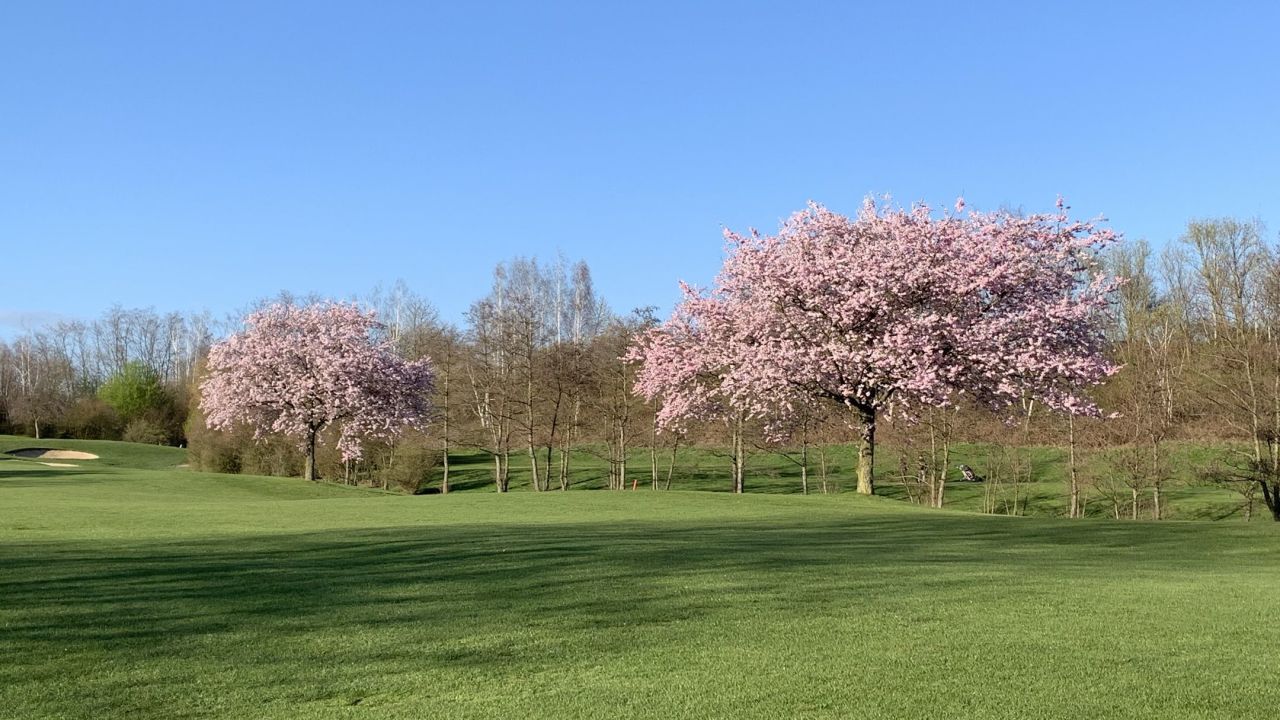 GCC Elfrather Mühle