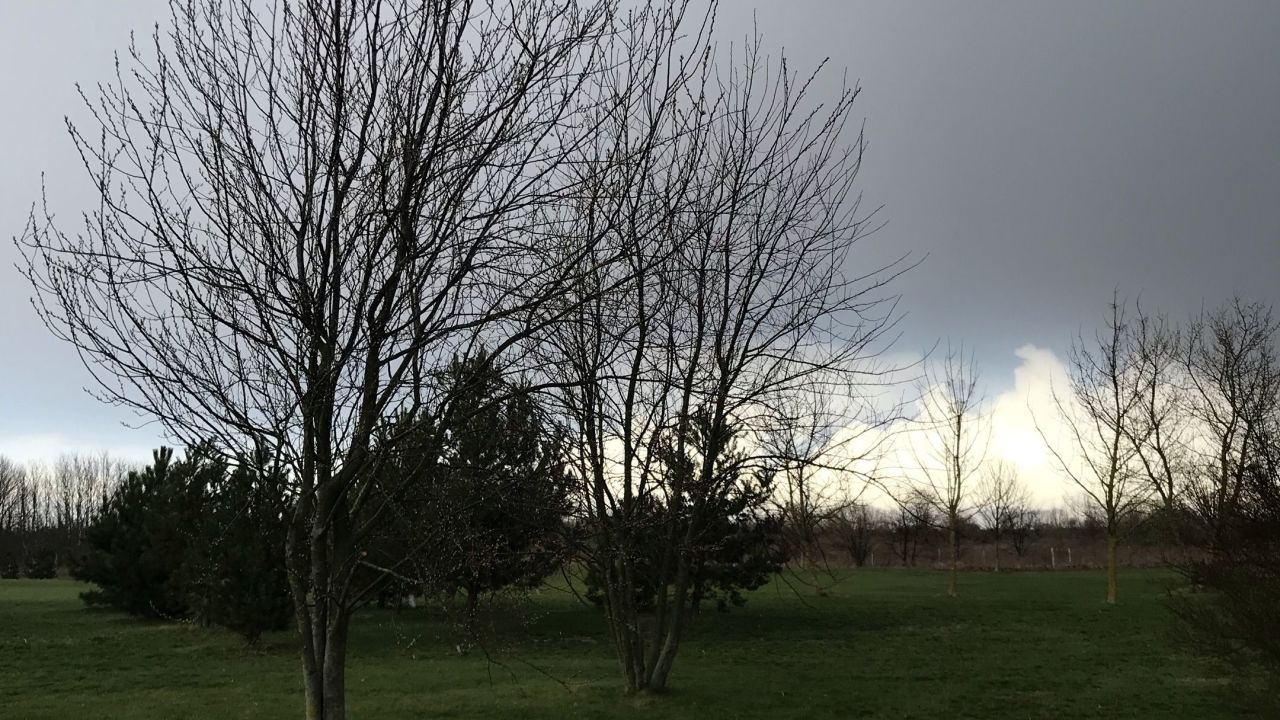 Berliner GC Stolper Heide