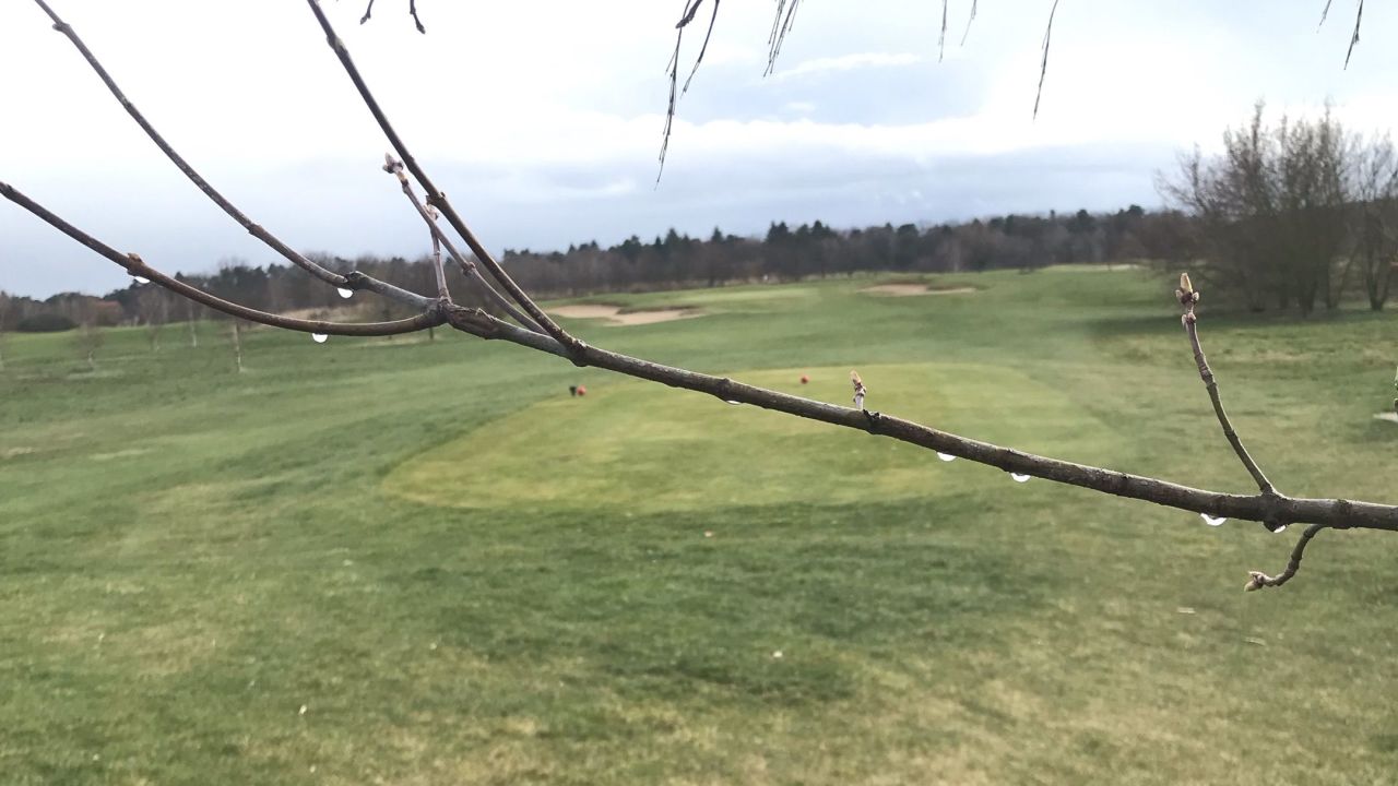 Berliner GC Stolper Heide
