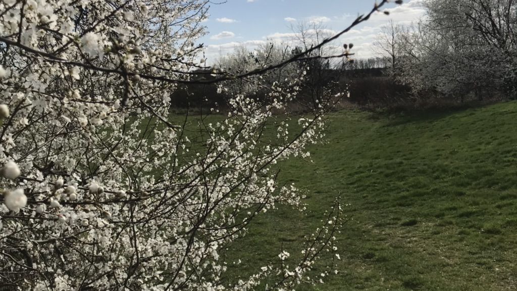 Berliner GC Stolper Heide