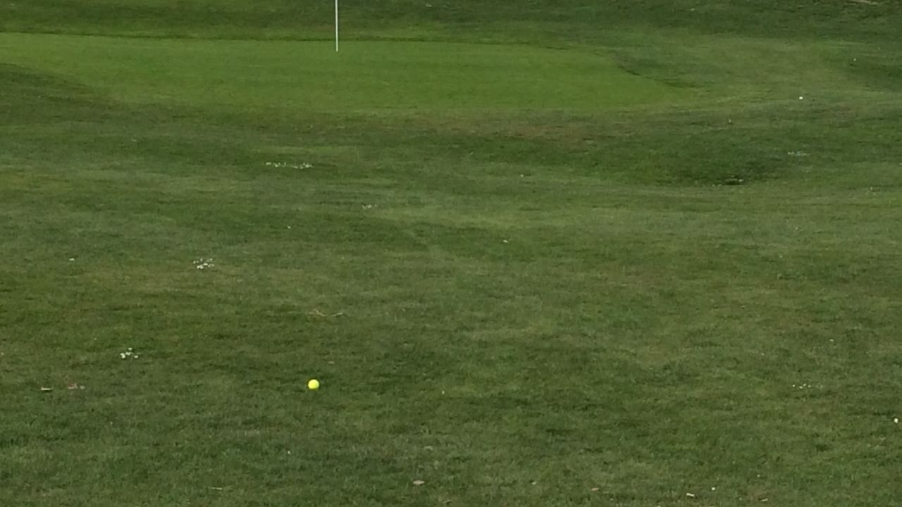 GolfResort Hardenberg