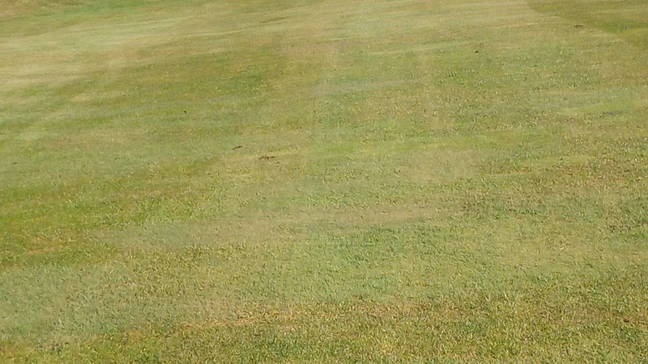 GC Balmer See-Insel Usedom