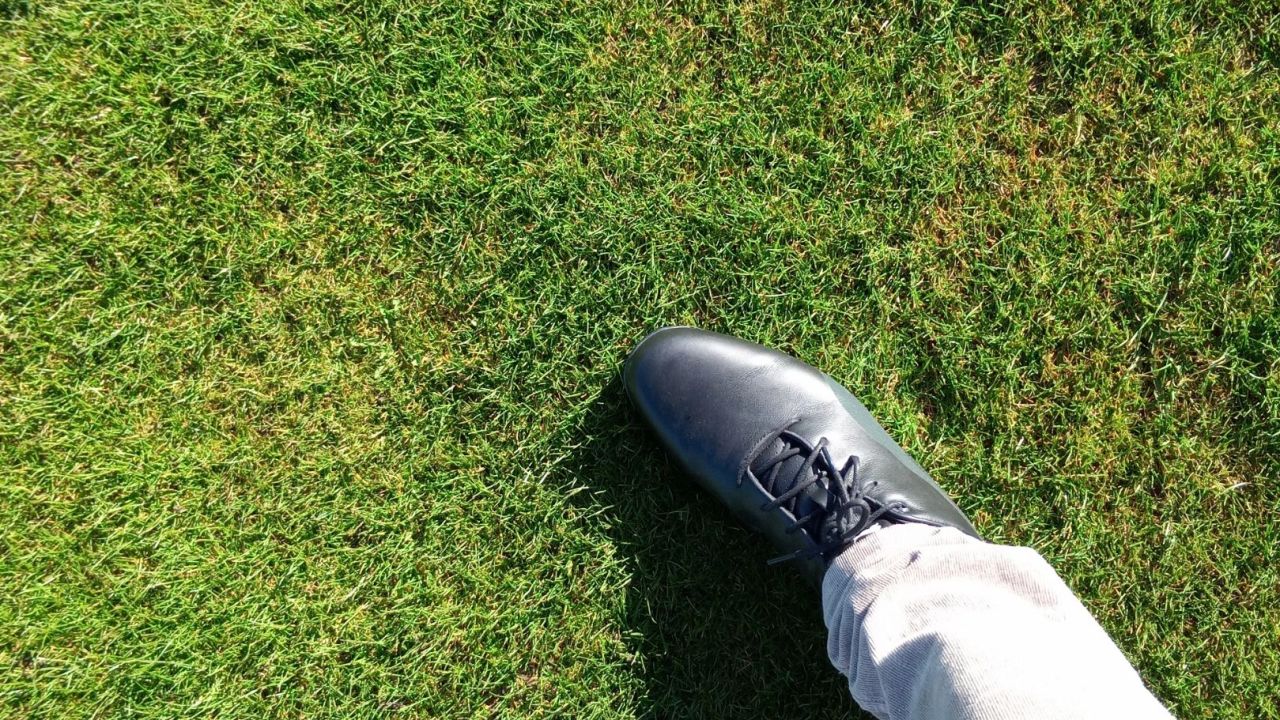 GC Balmer See-Insel Usedom