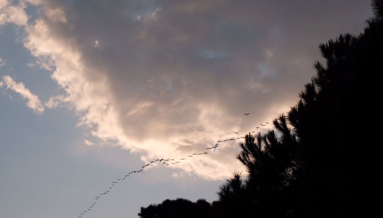 Robinson Club Nobilis