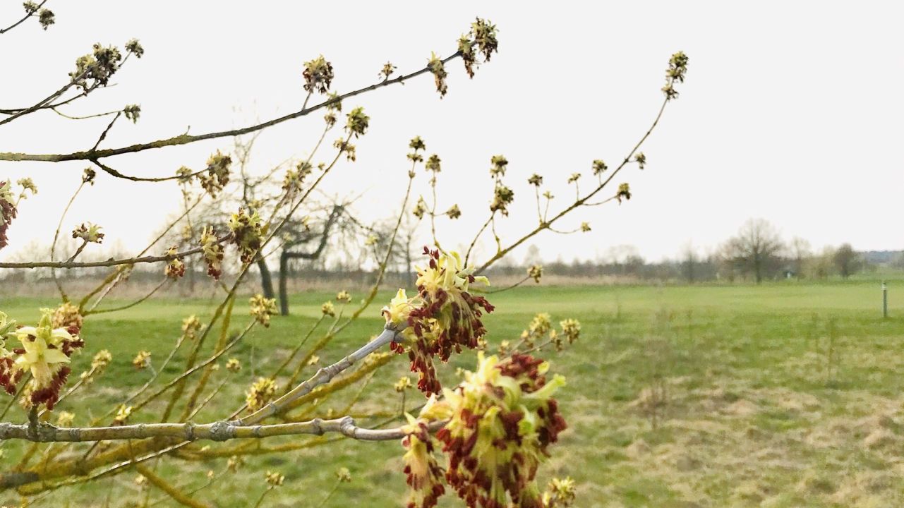 Berliner GC Stolper Heide