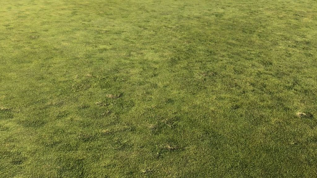 GC Wolfsburg / Boldecker Land e. V.