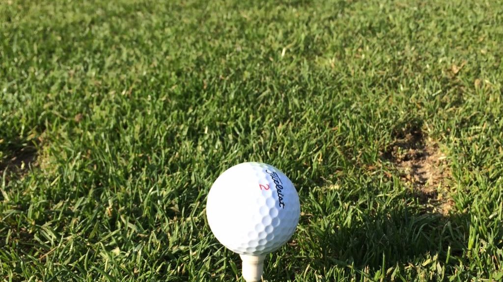 GolfResort Hardenberg