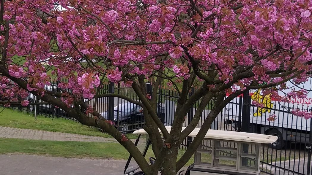 GC Mülheim an der Ruhr