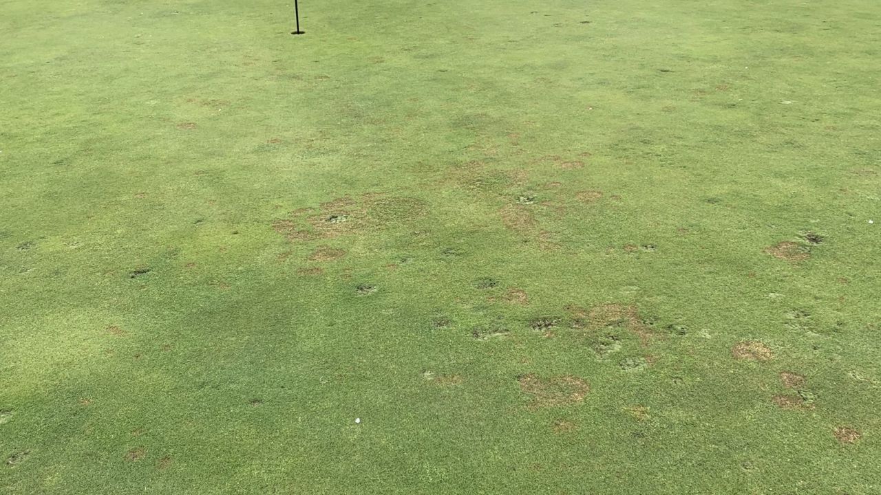 Golf & Country Club Poggio dei Medici