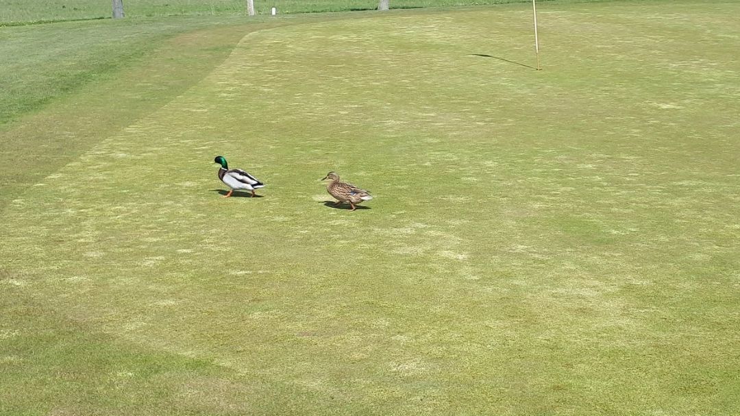 Universitäts-GC Paderborn