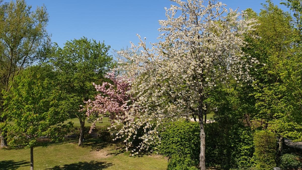 Golfanlage Hummelbachaue