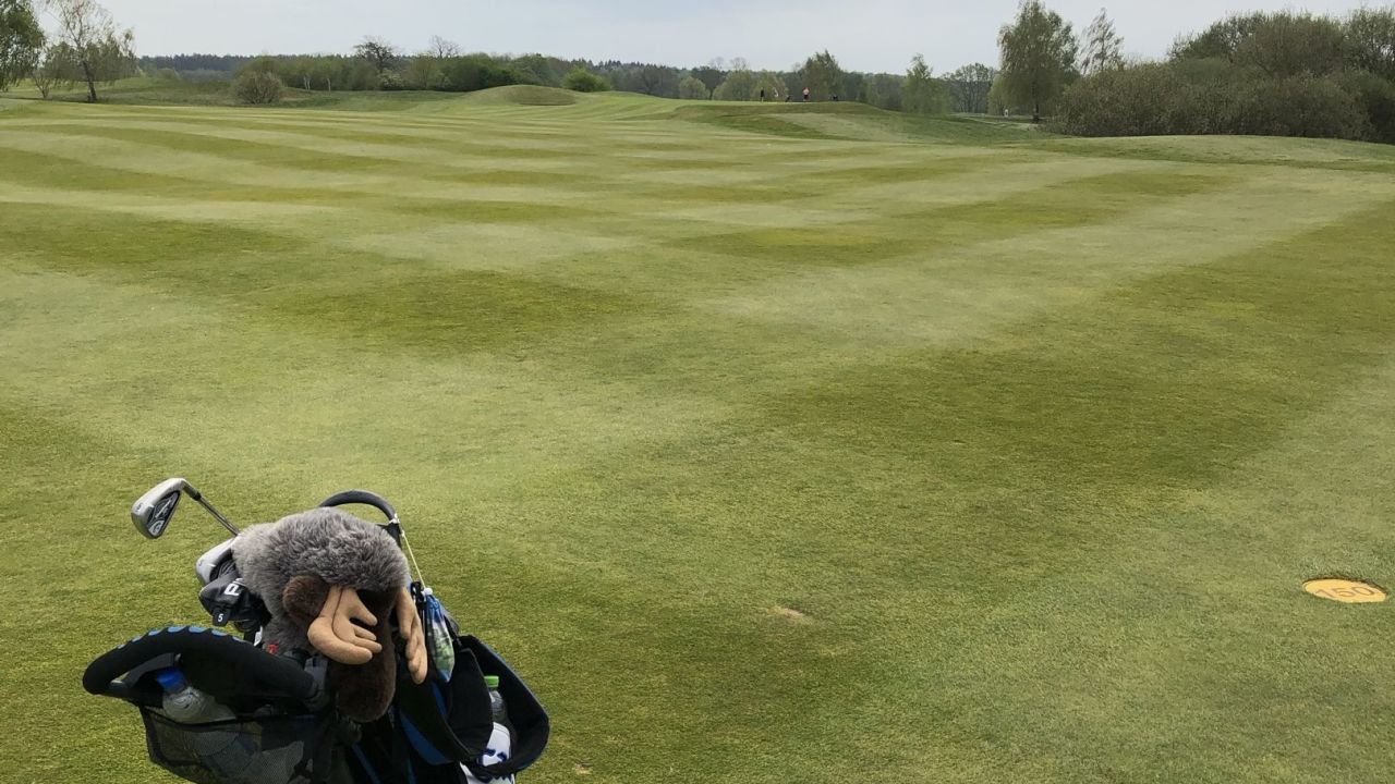 GOLF Fleesensee