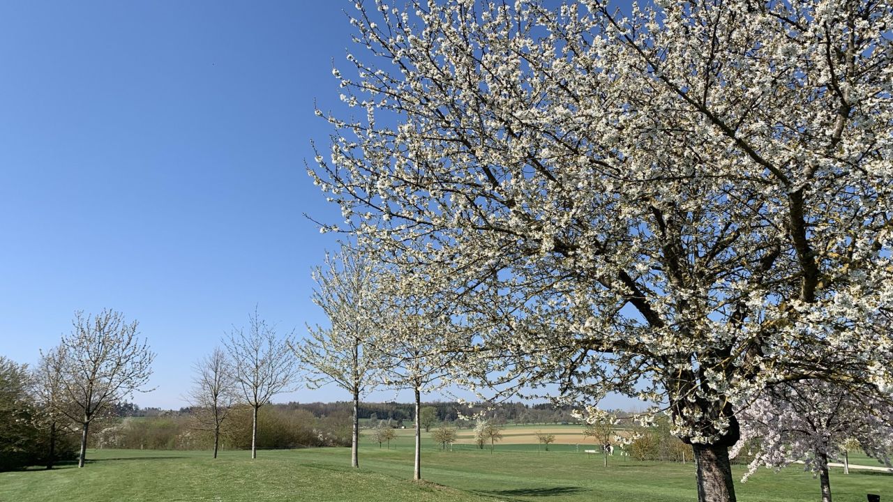 GC Domäne Niederreutin