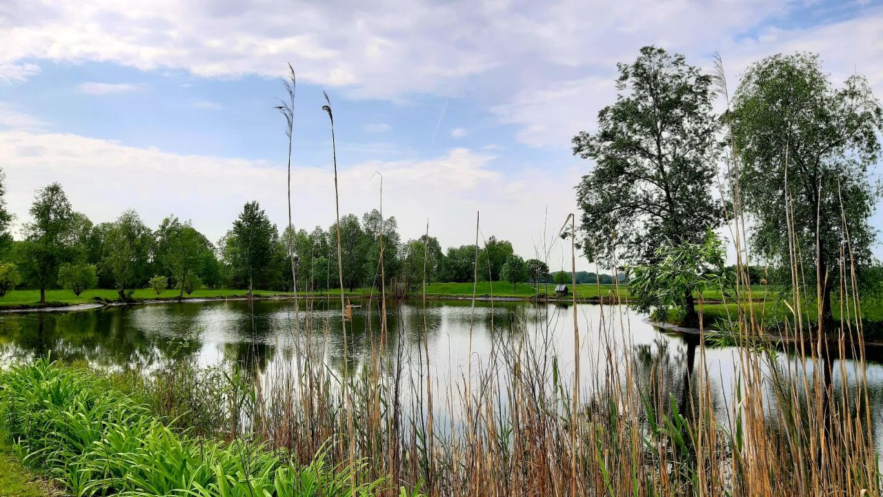 GC Worms Golfanlage Hamm