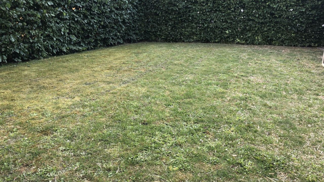 1. Bremer Cross Golf Club n.e.V.