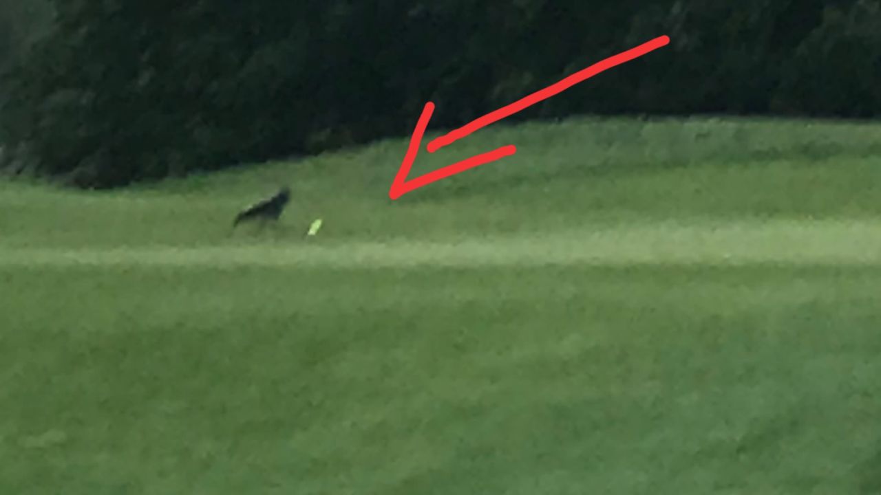 Berliner GC Stolper Heide