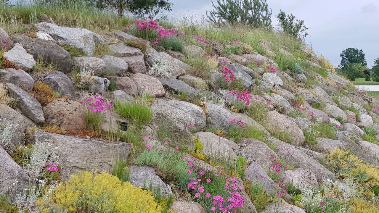 Green Eagle Golf Courses