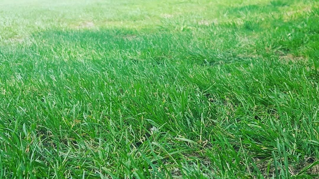 GC Tecklenburger Land