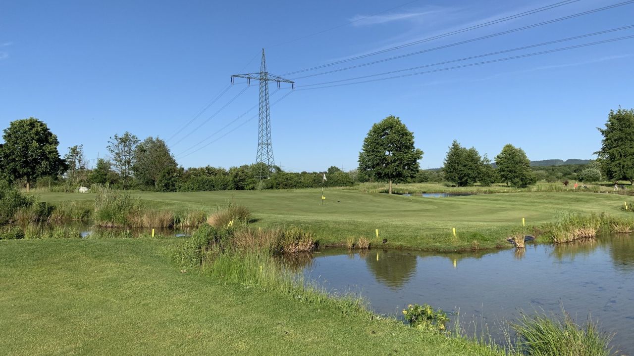 GC Hofgut Scheibenhardt