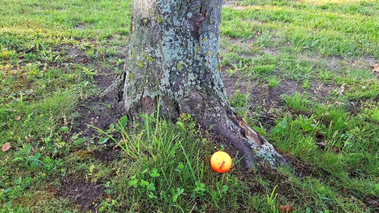 Golfpark Biblis-Wattenheim