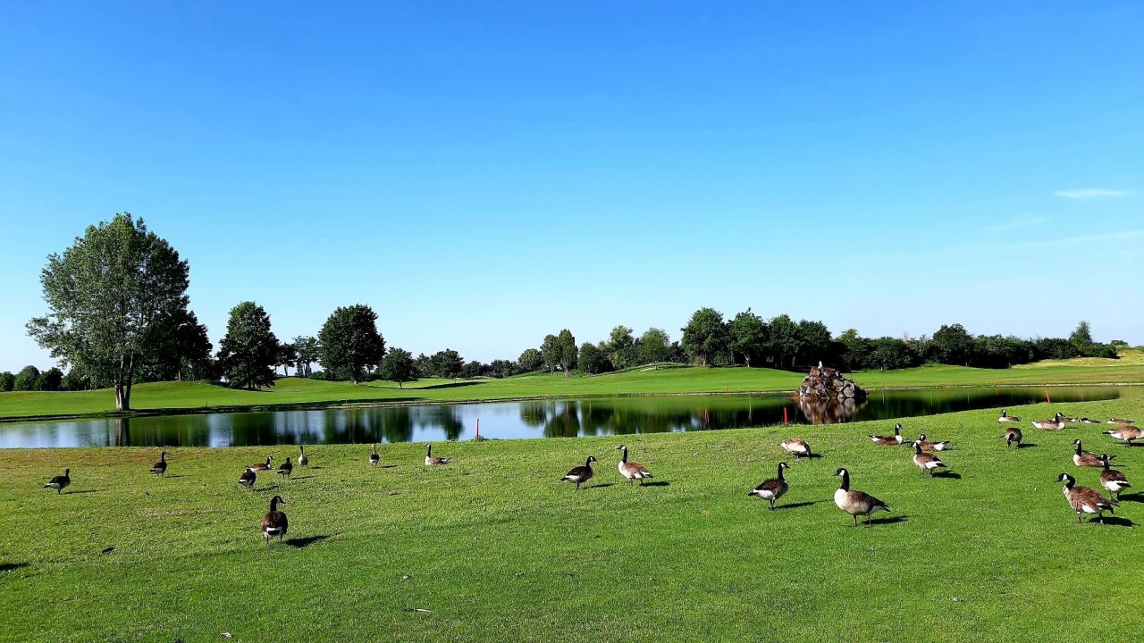 Golfpark Biblis-Wattenheim