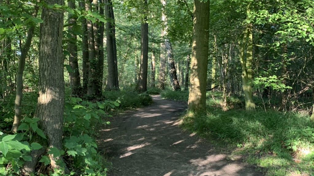 Golfclub Hamburg Gut Waldhof