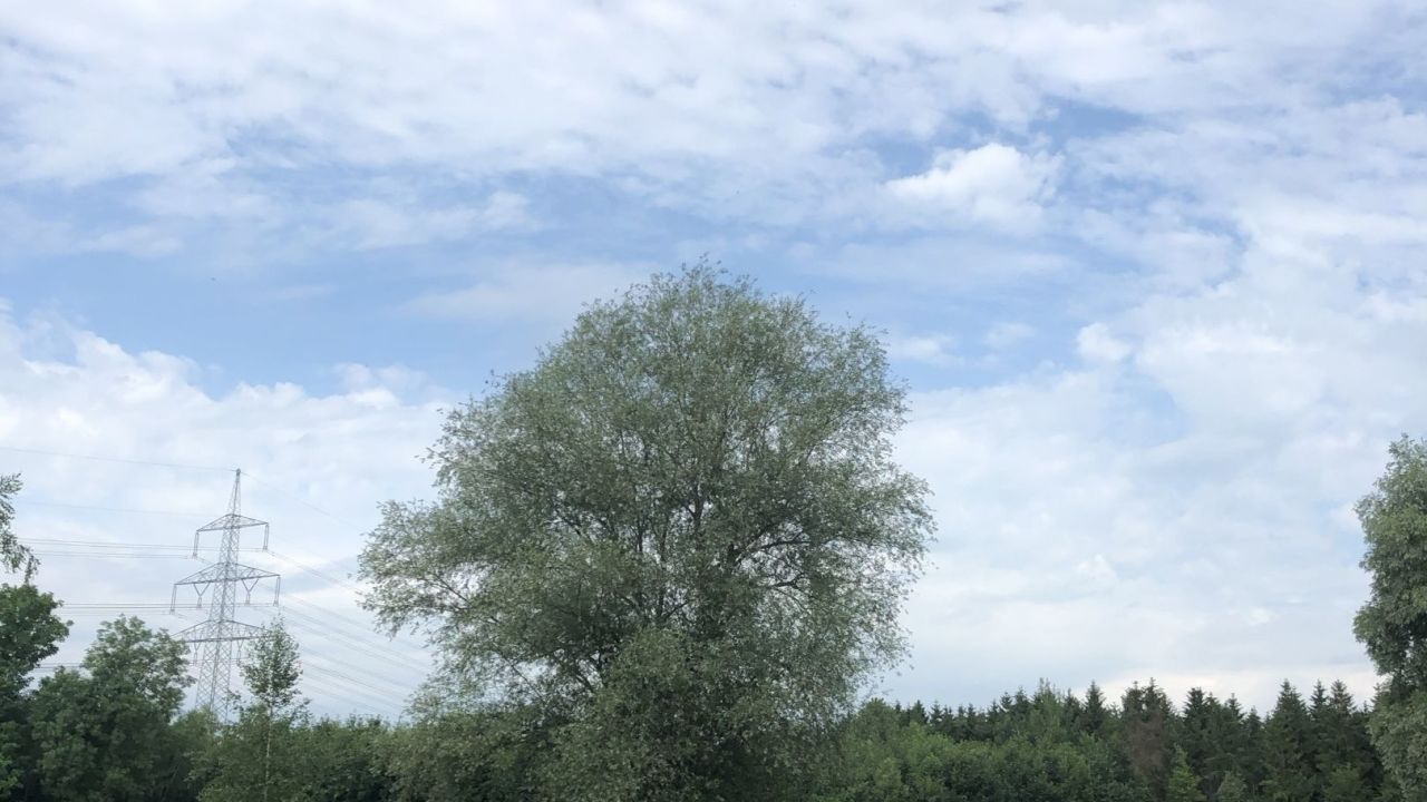 GC München Eichenried