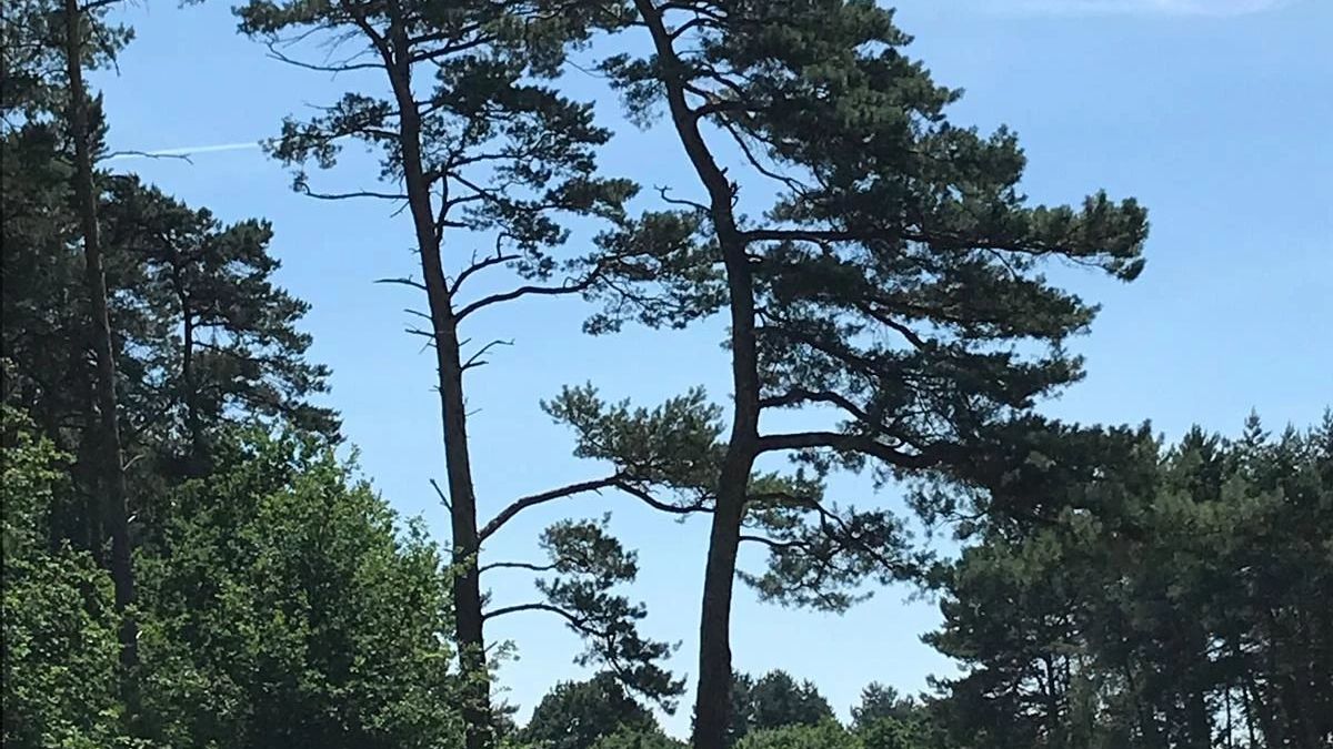 Golf & Country Club Herkenbosch