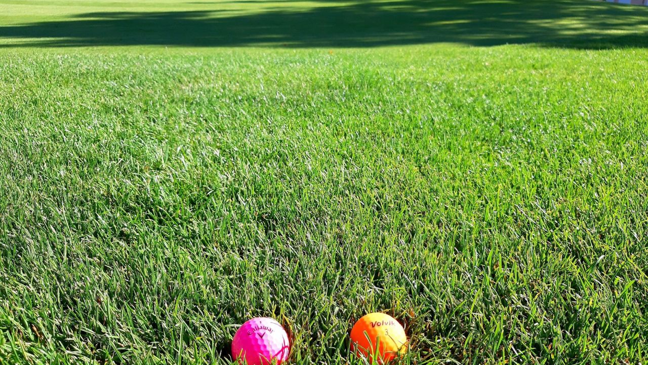 Golfpark Biblis-Wattenheim