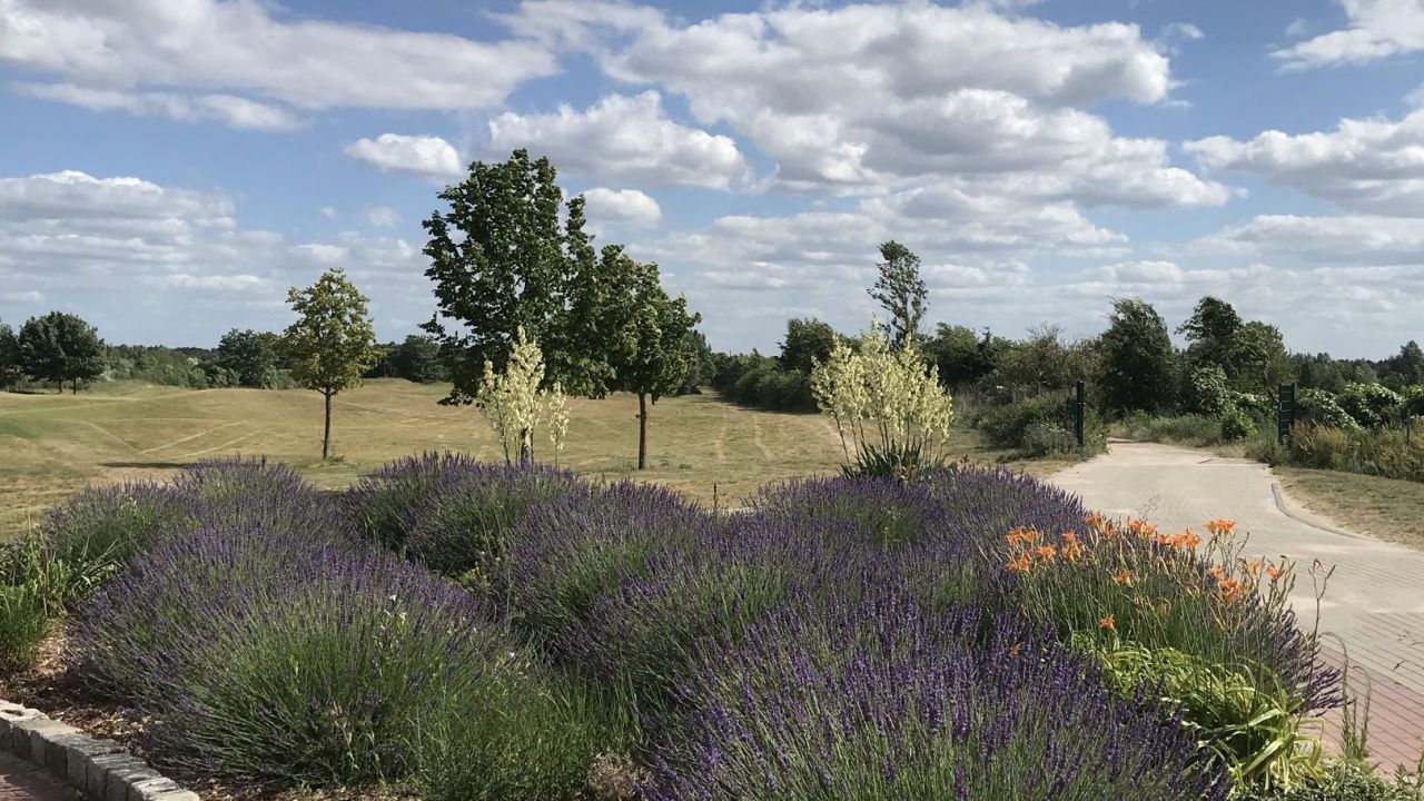 Berliner GC Stolper Heide