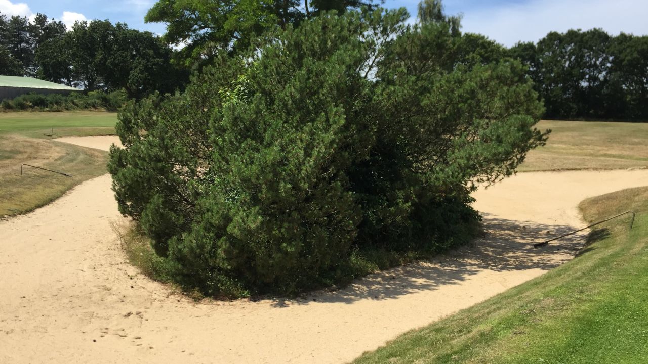 Küsten GC Hohe Klint Cuxhaven