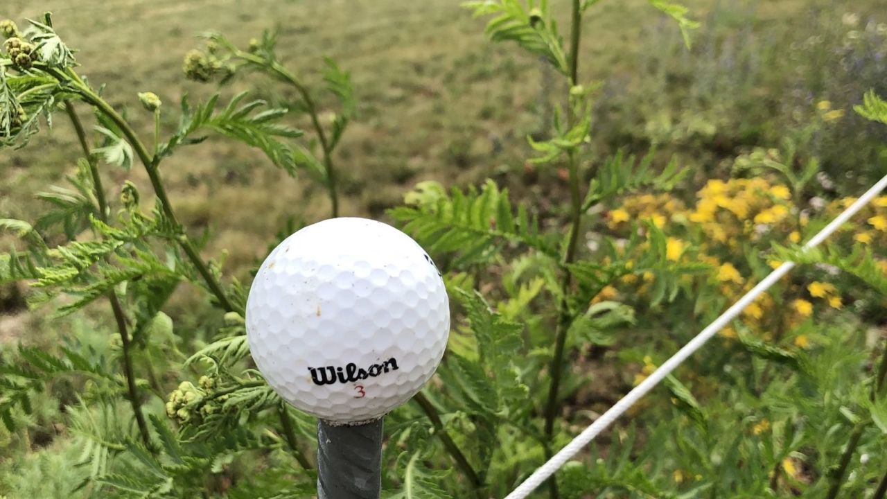 Altmühlgolf Beilngries