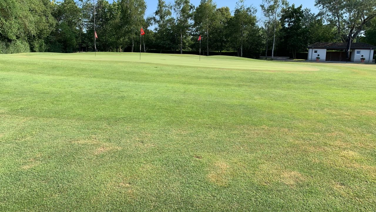 GC Mannheim Viernheim