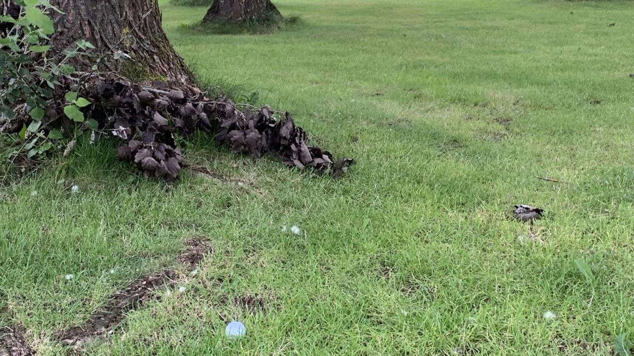 Golfclub Hamburg Gut Waldhof