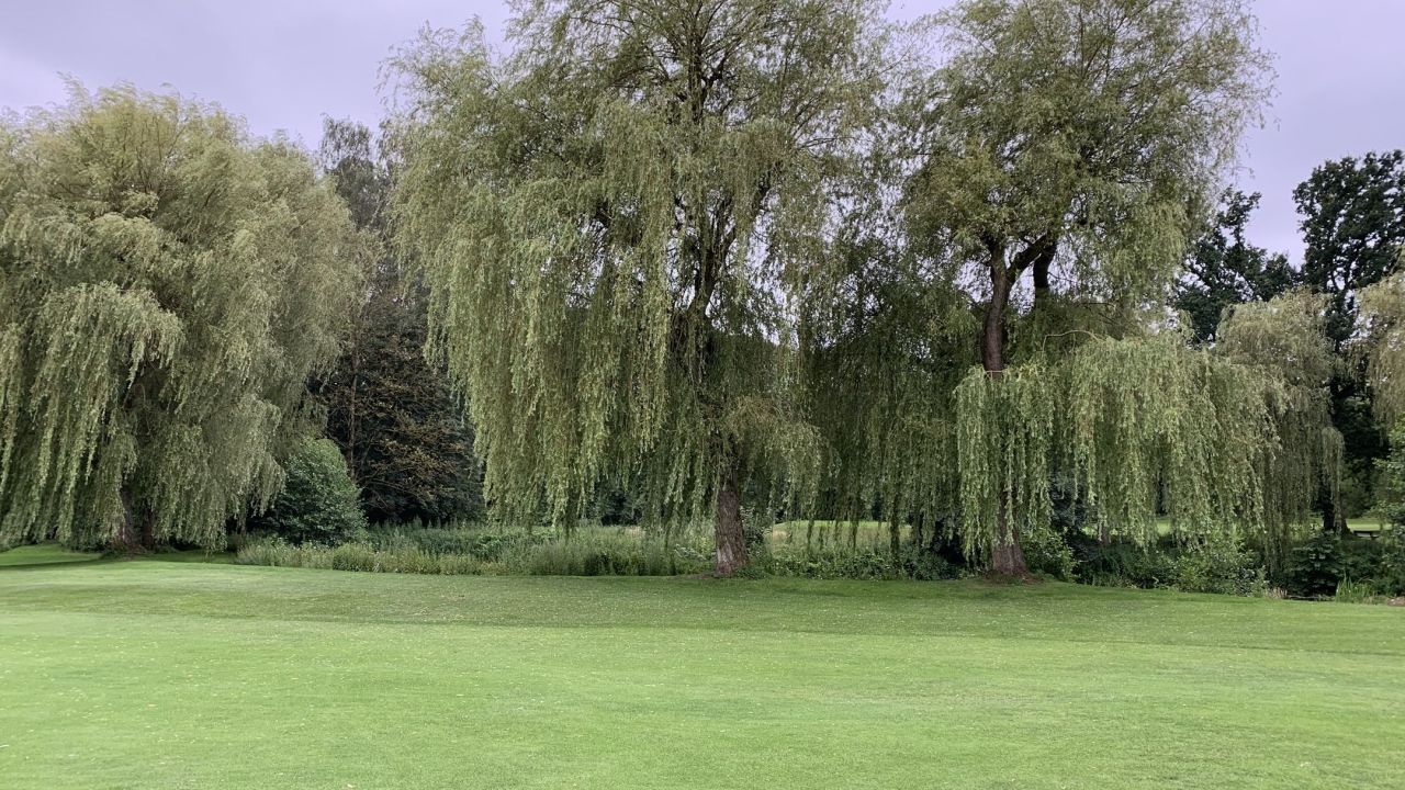 Golfclub Hamburg Gut Waldhof